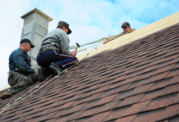 Best Best Roofing Contractors  in Vancleave, MS