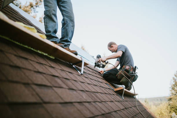 Best Emergency Roof Repair  in Vancleave, MS
