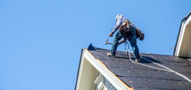 Best Roof Repair Services  in Vancleave, MS
