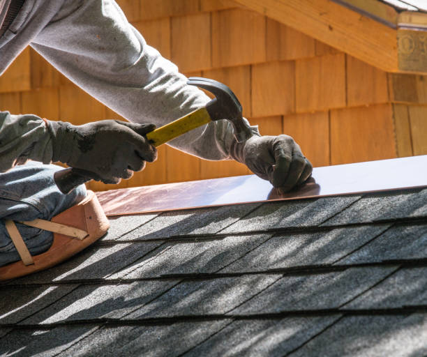 Best Roof Gutter Cleaning  in Vancleave, MS